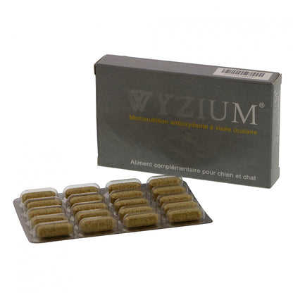 Wyzium chien, chat