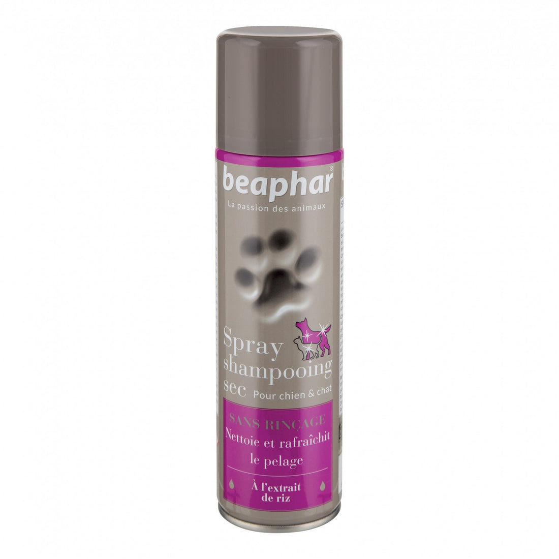 Spray shampooing sec chien, chat