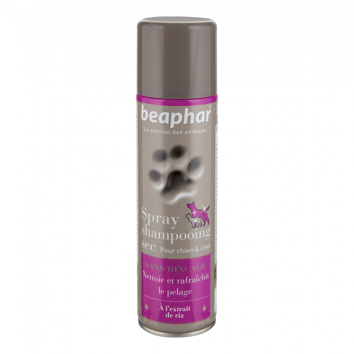 Spray shampooing sec chien, chat