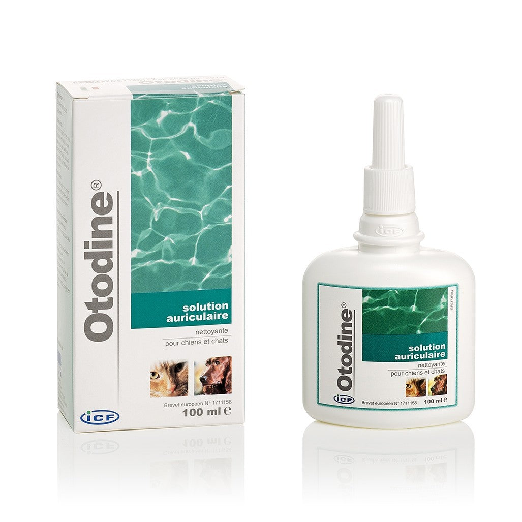 Otodine chien, chat