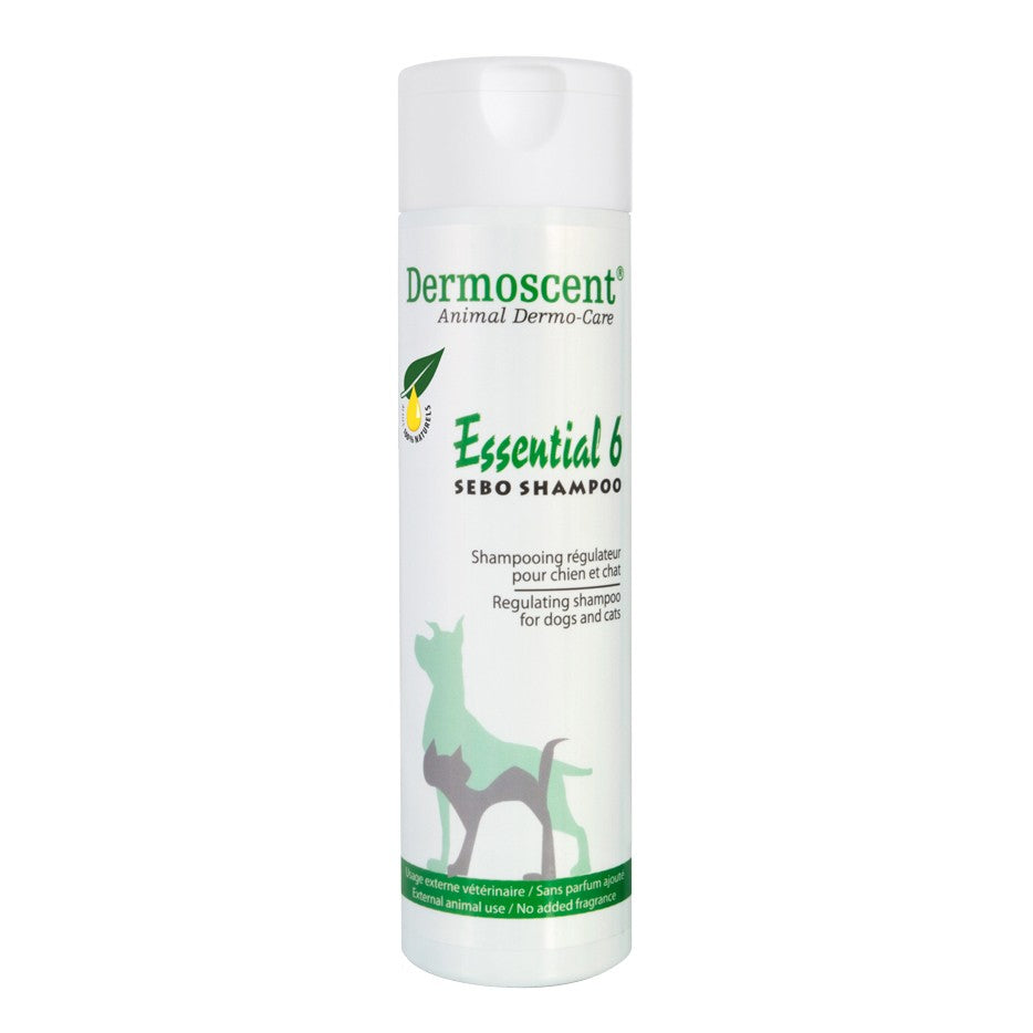 Essential 6 Sebo Shampoo shampooing chien, chat