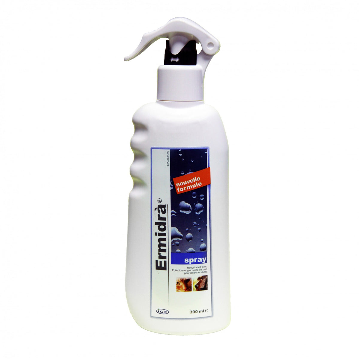 Ermidra chat, chien
