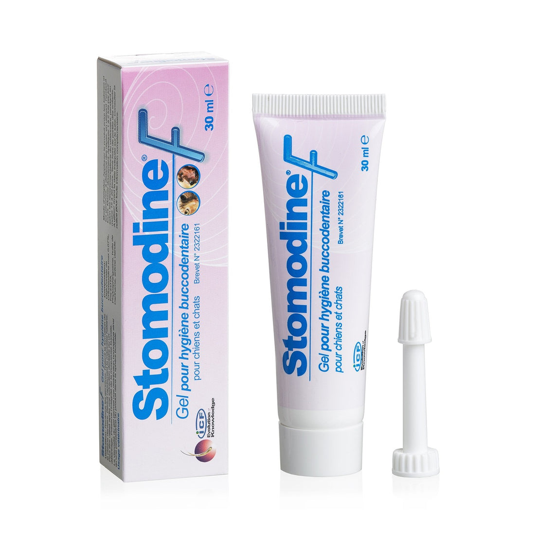 Stomodine F chien, chat