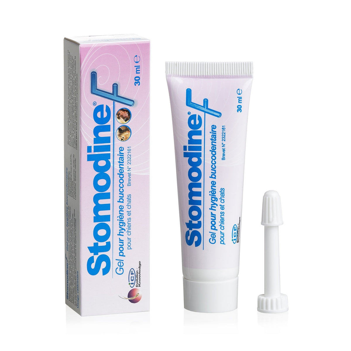 Stomodine F chien, chat