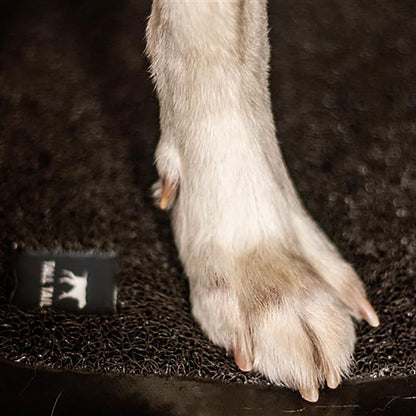 Tapis de bain chien