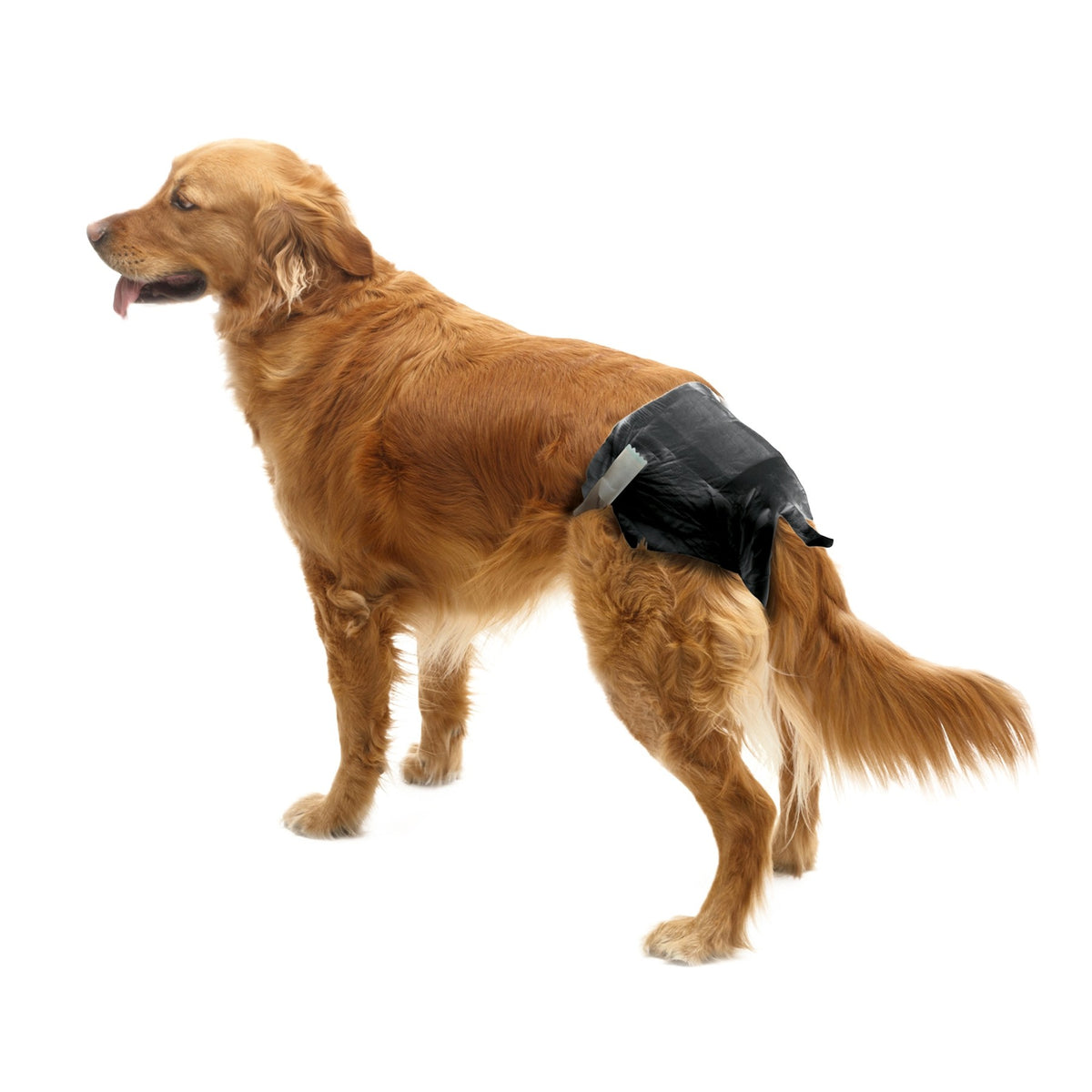 Couches culottes Comfort chien, chiot