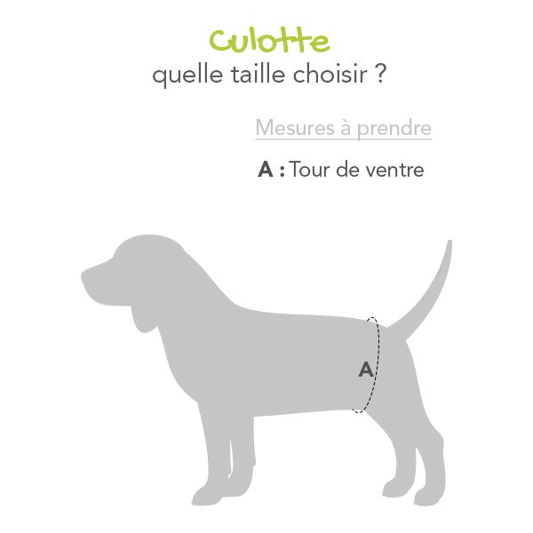 Bande ventrale pour chiens mâles