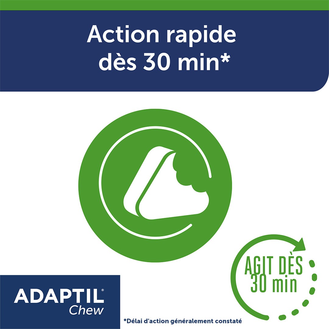 Adaptil® Chew chien