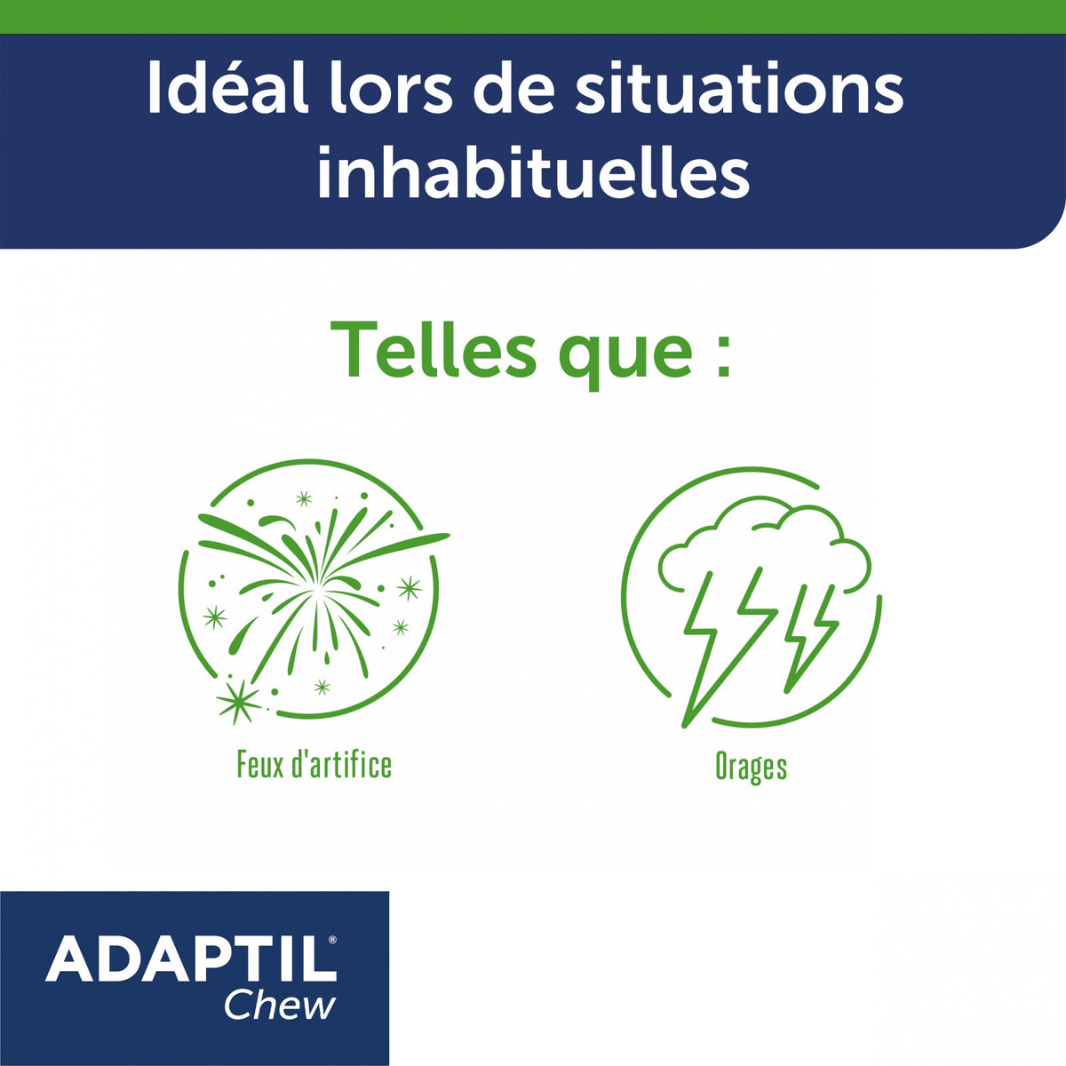 Adaptil® Chew chien