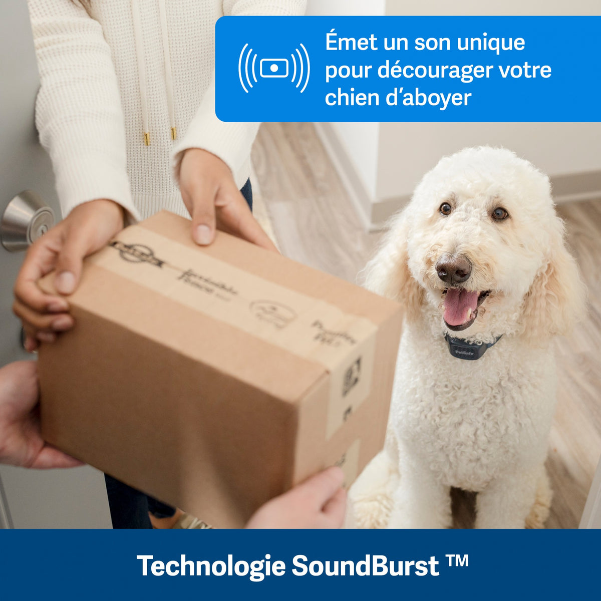 Collier anti-aboiement à signal sonore rechargeable chien