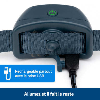 Collier anti-aboiement à signal sonore rechargeable chien