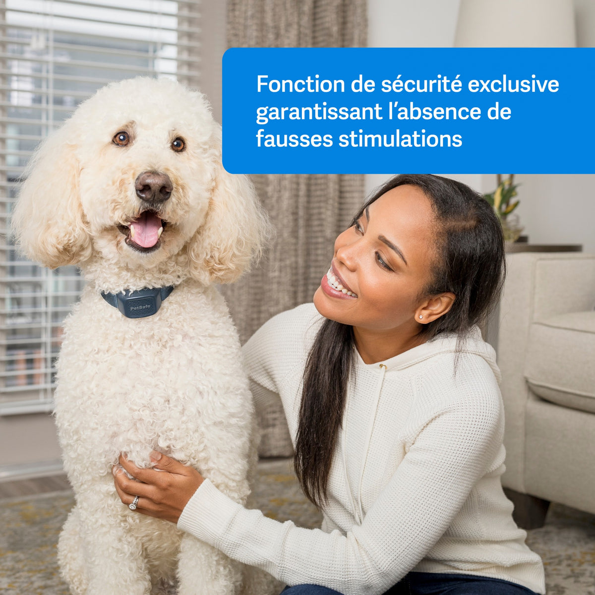 Collier anti-aboiement à signal sonore rechargeable chien