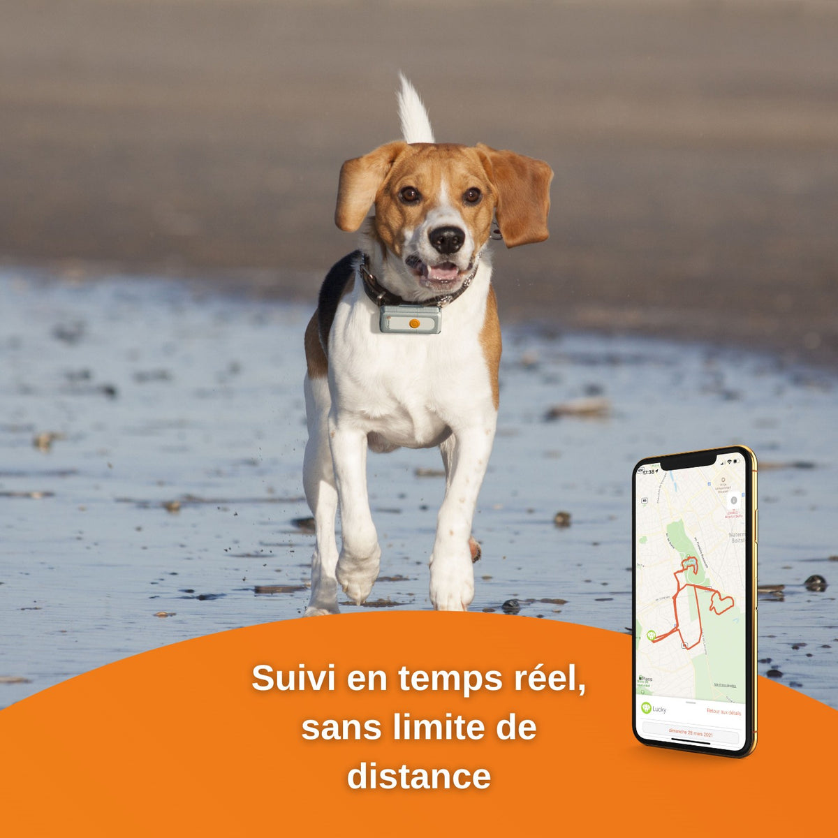 Traceur GPS Dogs 2 en temps réel chien