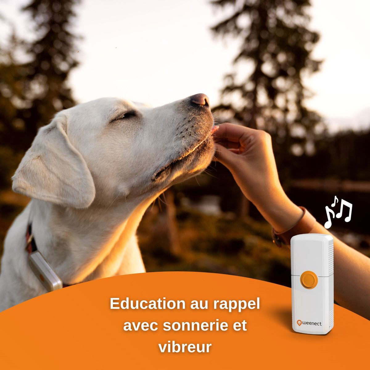 Traceur GPS Dogs 2 en temps réel chien