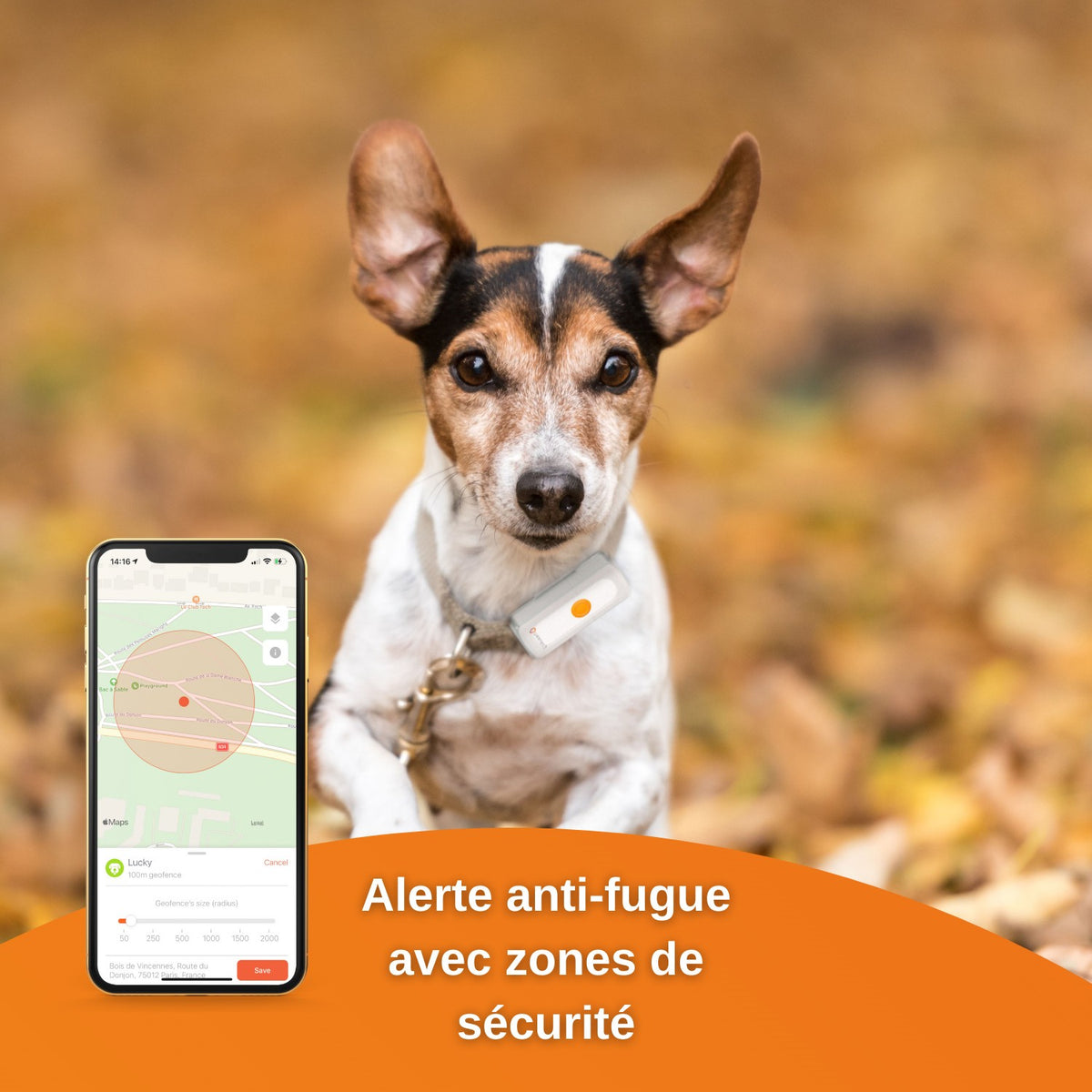 Traceur GPS Dogs 2 en temps réel chien