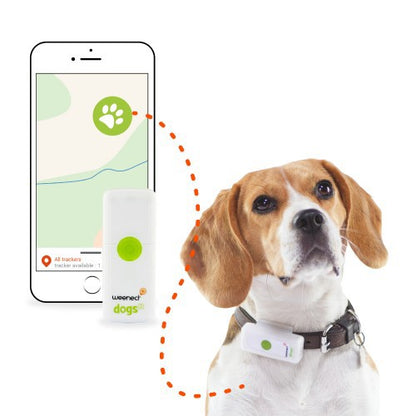 Traceur GPS Dogs 2 en temps réel chien