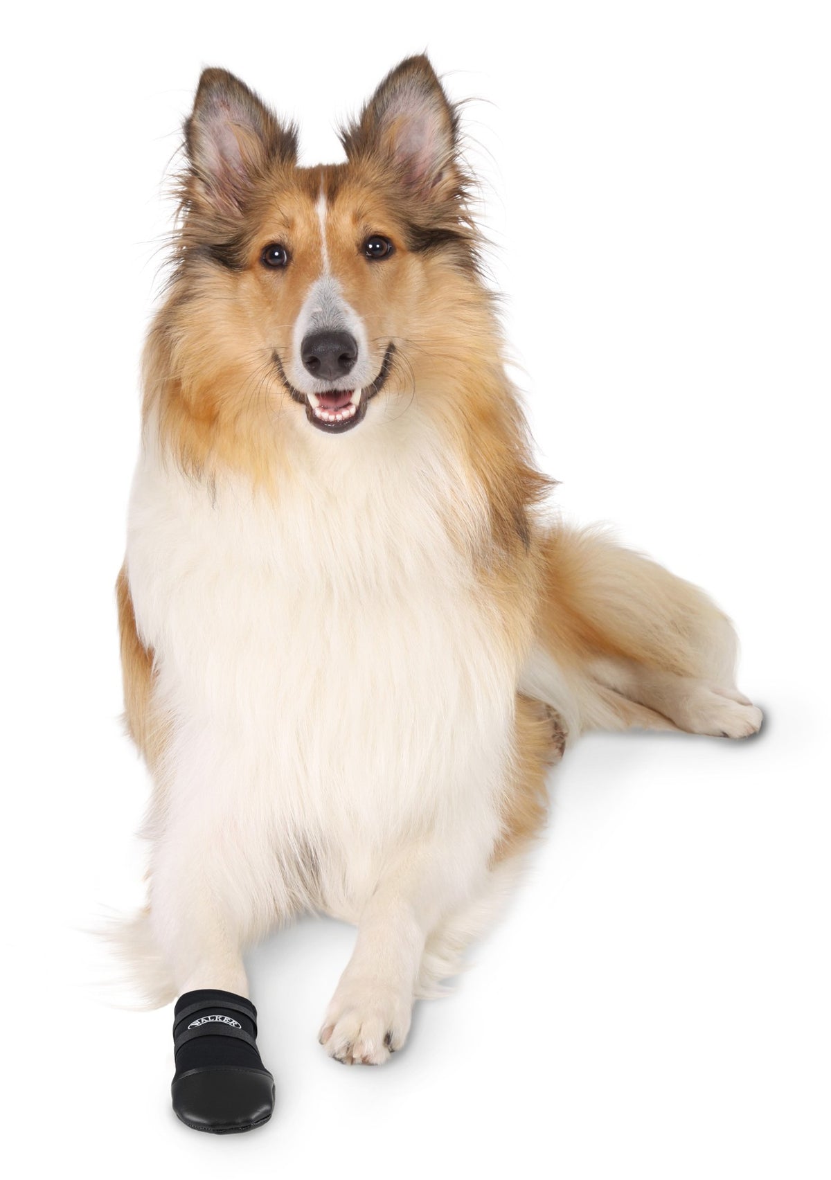 Chaussons Walker chien