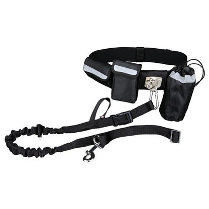Laisse main libre chien