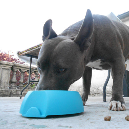 Gamelle Made in France chien