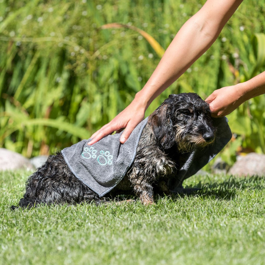 Serviette de séchage en microfibre chien, chat