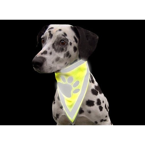 Bandana réfléchissant chien