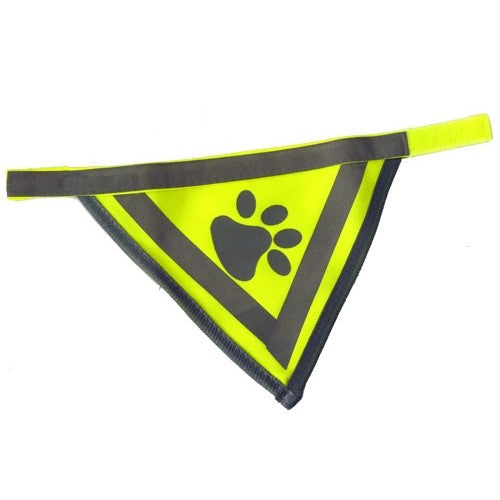 Bandana réfléchissant chien