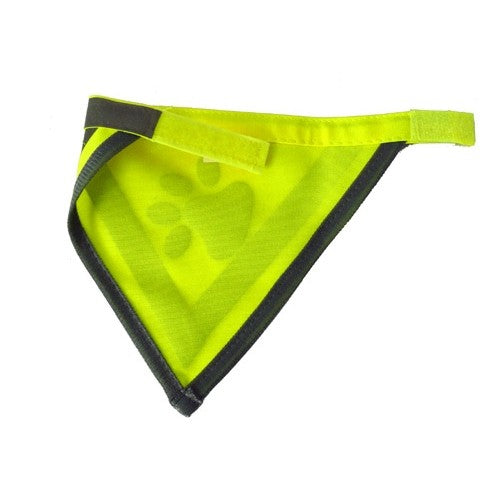 Bandana réfléchissant chien