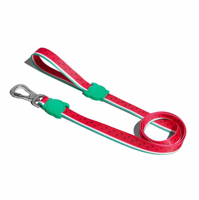Laisse Lola rouge pastèque chien