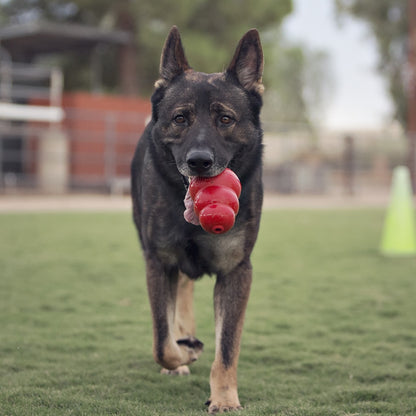 Jouet Classic Kong à mâcher chien