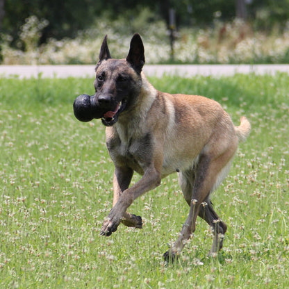Jouet Extreme Kong à mâcher ultra-résistant chien