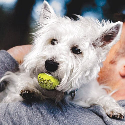 Trio de balles de Tennis SqueakAir Kong chien