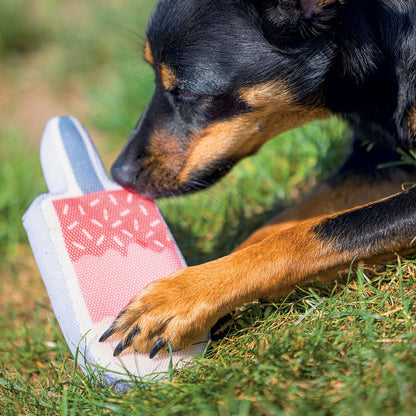 Jouet flottant Glace chien