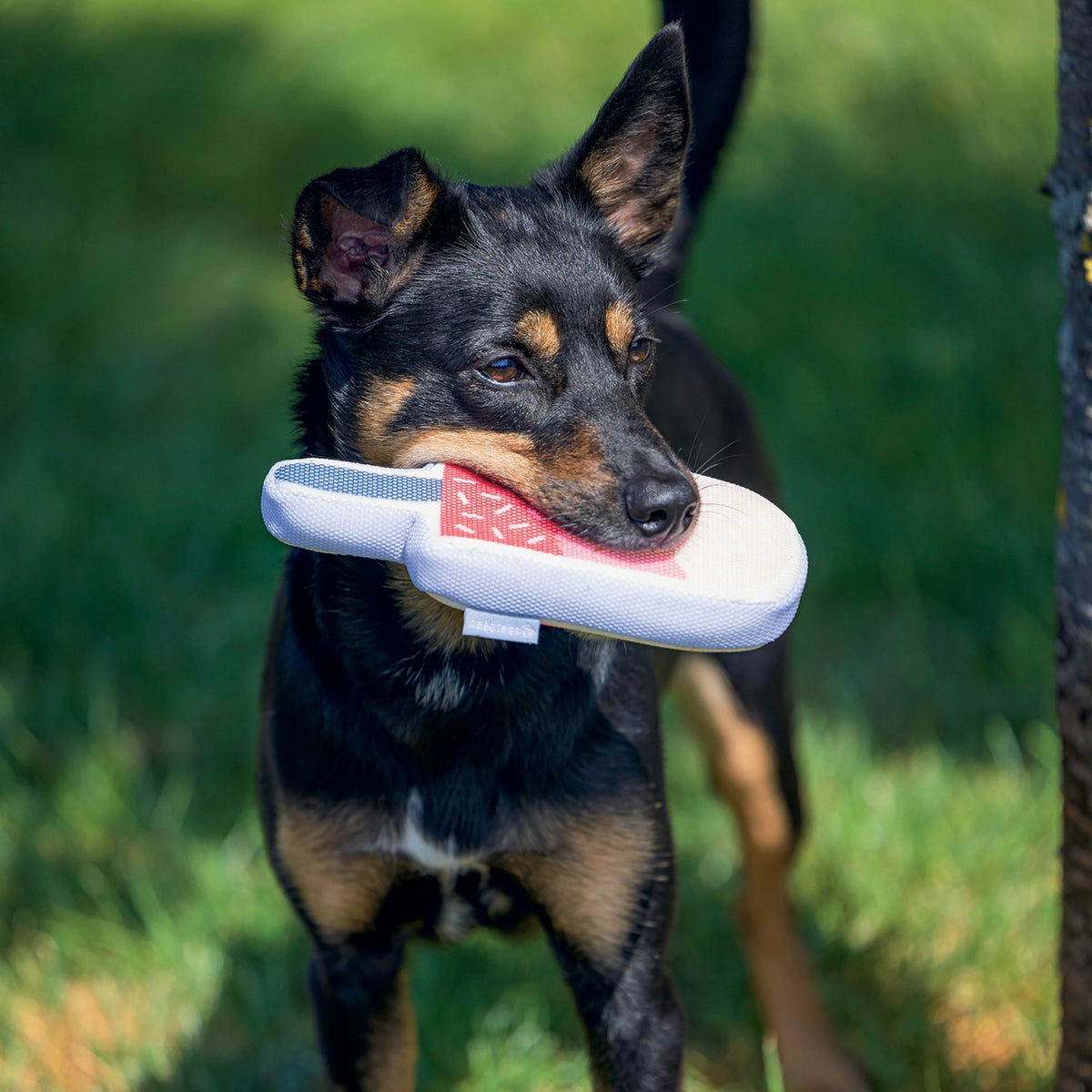 Jouet flottant Glace chien