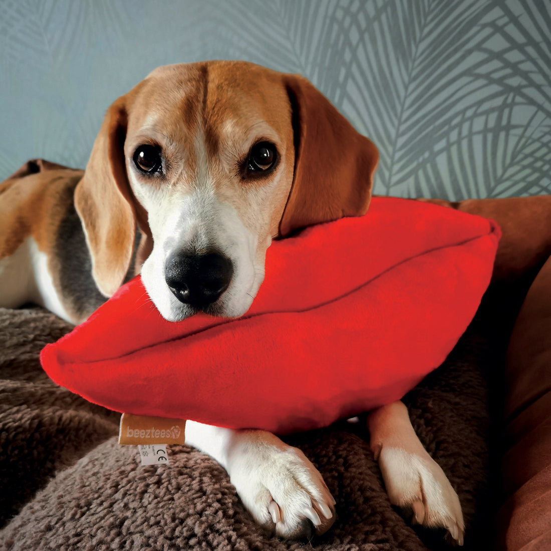 Peluche Kiss chien