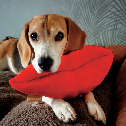 Peluche Kiss chien