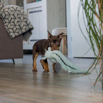 Peluche Dragon chiot