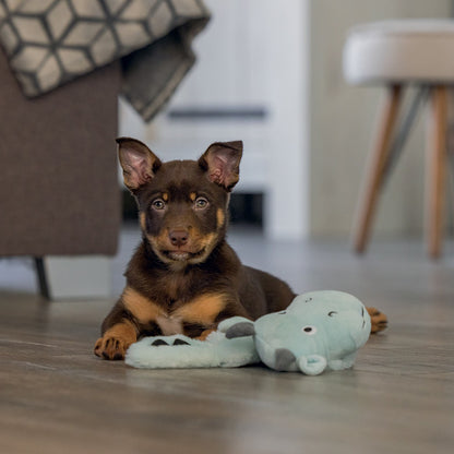 Peluche Dragon chiot