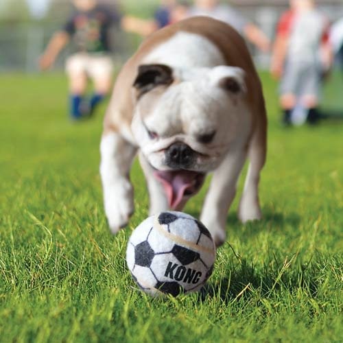 Trio de balles Sport Kong chien
