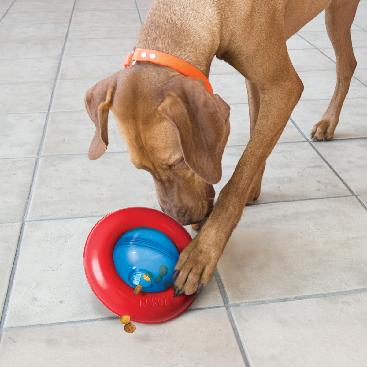 Jouet distributeur Gyro de Kong chien