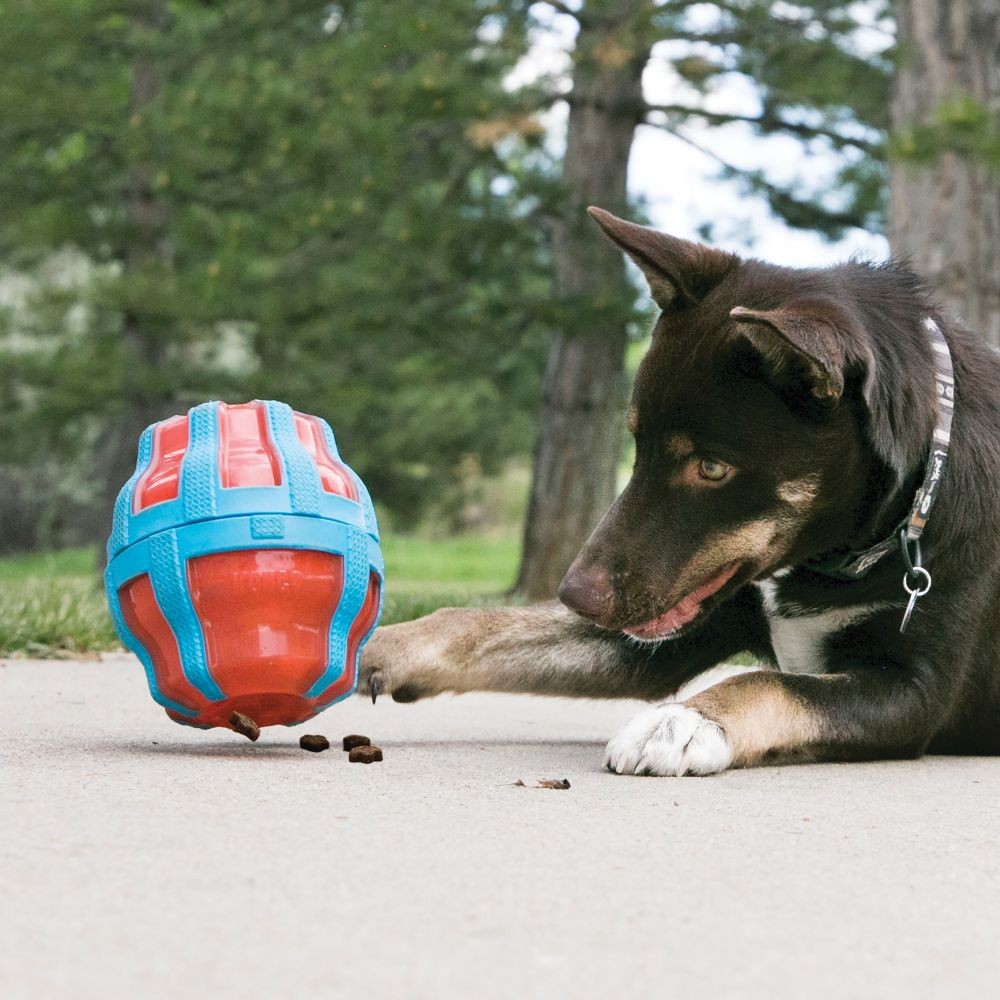 Jouet distributeur Treat Spinner Kong chien