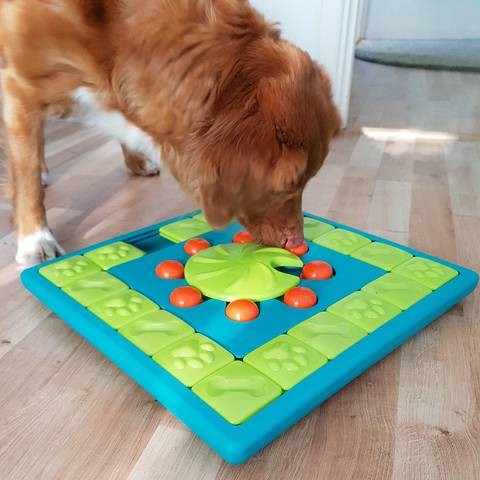 Jouet distributeur Dog MultiPuzzle chien
