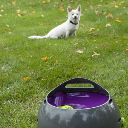 Lanceur de balles automatique chien