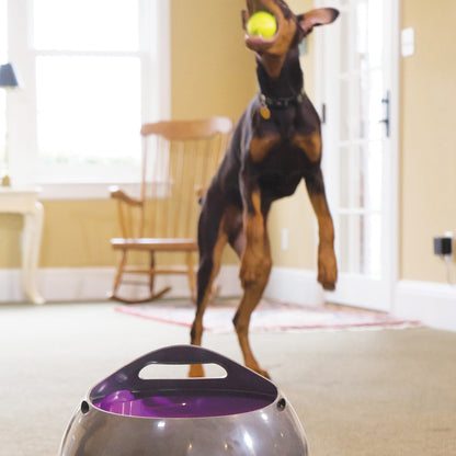 Lanceur de balles automatique chien