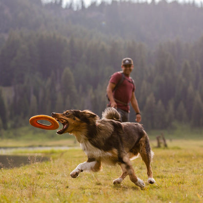 Frisbee Hydro Plane™ chien