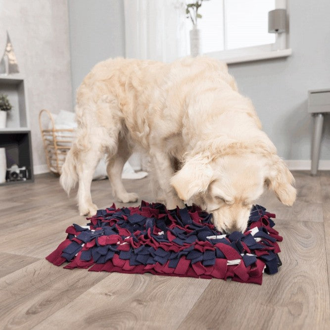 Tapis à renifler Trixie chien
