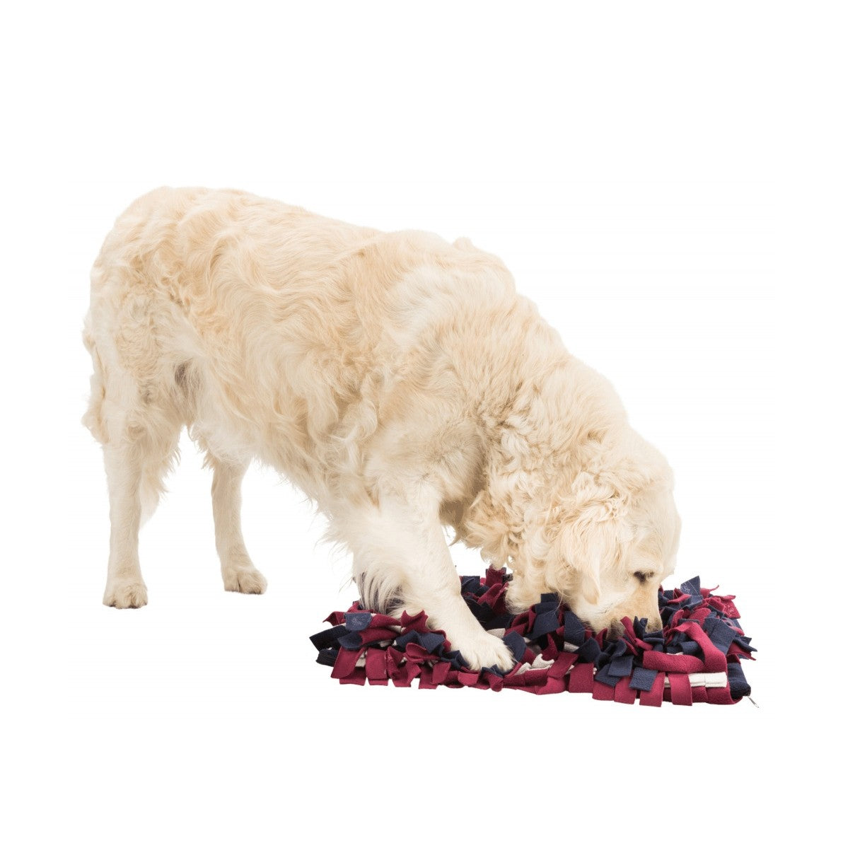 Tapis à renifler Trixie chien