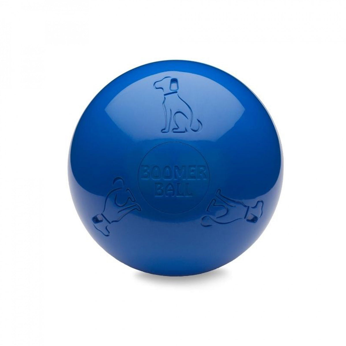 Boomer Ball chien