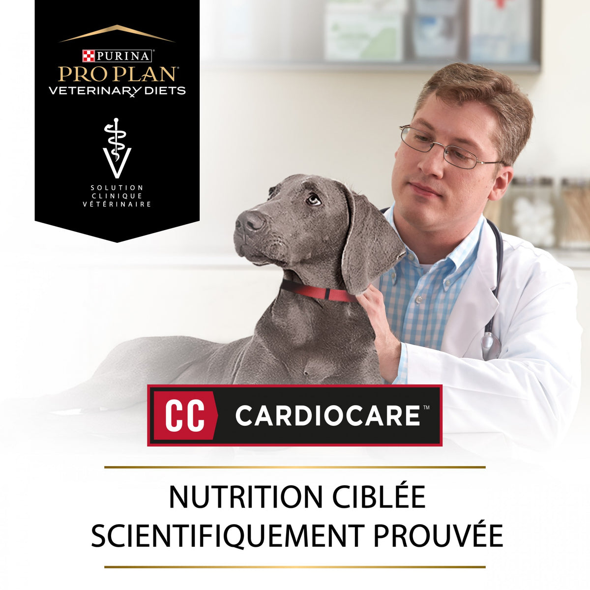 Pro Plan Veterinary Diets CC CardioCare – croquettes chien