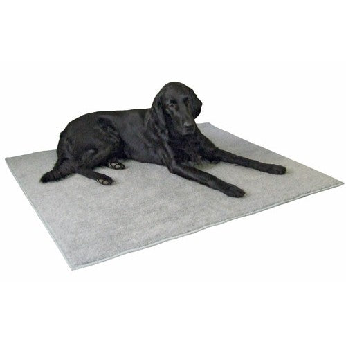 Tapis antidérapant chien