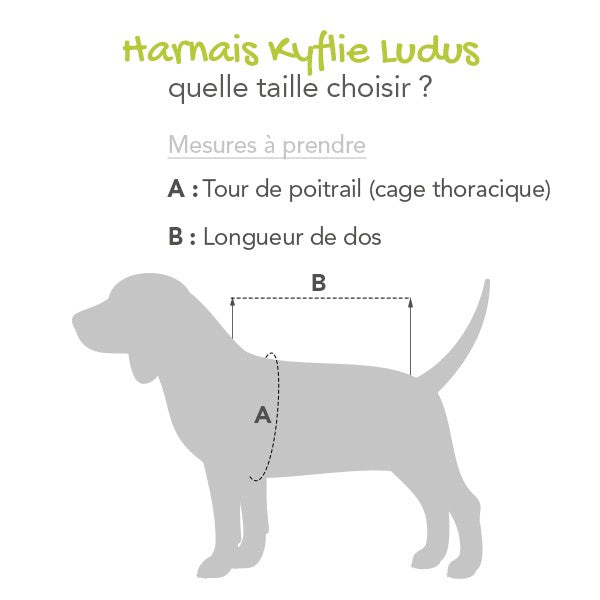 Imperméable Tarbes chien
